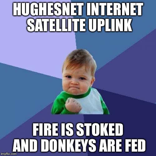 Success Kid Meme | HUGHESNET INTERNET SATELLITE UPLINK; FIRE IS STOKED AND DONKEYS ARE FED | image tagged in memes,success kid | made w/ Imgflip meme maker