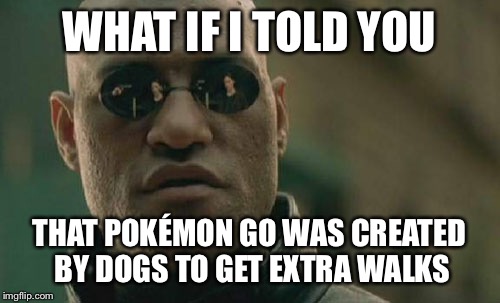 Matrix Morpheus Meme | WHAT IF I TOLD YOU; THAT POKÉMON GO WAS CREATED BY DOGS TO GET EXTRA WALKS | image tagged in memes,matrix morpheus | made w/ Imgflip meme maker
