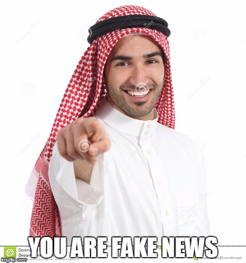 YOU ARE FAKE NEWS | made w/ Imgflip meme maker