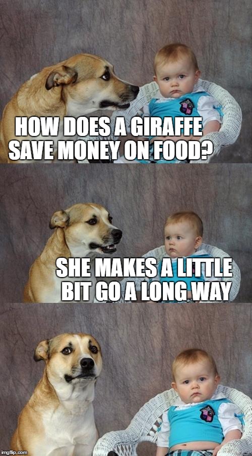 Dad Joke Dog Meme | HOW DOES A GIRAFFE SAVE MONEY ON FOOD? SHE MAKES A LITTLE BIT GO A LONG WAY | image tagged in memes,dad joke dog | made w/ Imgflip meme maker
