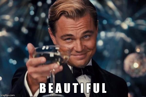 Leonardo Dicaprio Cheers Meme | B E A U T I F U L | image tagged in memes,leonardo dicaprio cheers | made w/ Imgflip meme maker