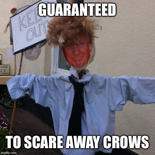 The Trumpcrow | GUARANTEED; TO SCARE AWAY CROWS | image tagged in donald trump | made w/ Imgflip meme maker