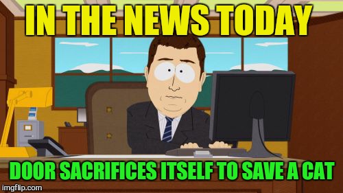 Aaaaand Its Gone Meme | IN THE NEWS TODAY DOOR SACRIFICES ITSELF TO SAVE A CAT | image tagged in memes,aaaaand its gone | made w/ Imgflip meme maker