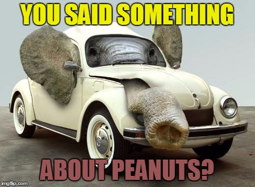 YOU SAID SOMETHING ABOUT PEANUTS? | made w/ Imgflip meme maker