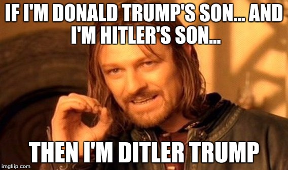 One Does Not Simply Meme | IF I'M DONALD TRUMP'S SON...
AND I'M HITLER'S SON... THEN I'M DITLER TRUMP | image tagged in memes,one does not simply | made w/ Imgflip meme maker