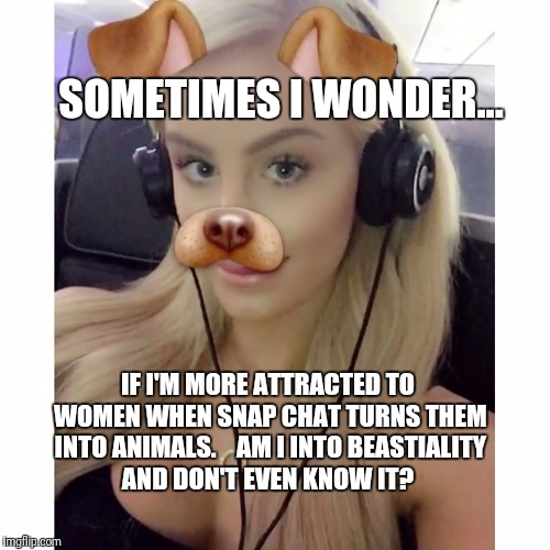 Beastiality  | SOMETIMES I WONDER... IF I'M MORE ATTRACTED TO WOMEN WHEN SNAP CHAT TURNS THEM INTO ANIMALS. 


AM I INTO BEASTIALITY AND DON'T EVEN KNOW IT? | image tagged in snapchat,funny memes,funny | made w/ Imgflip meme maker