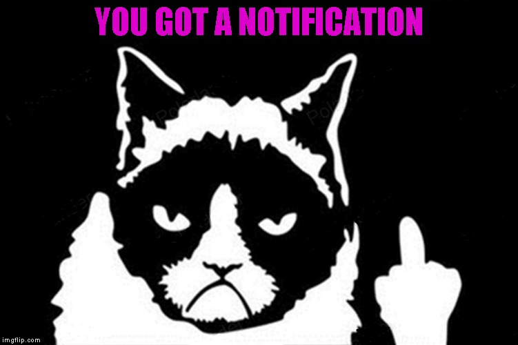 YOU GOT A NOTIFICATION | made w/ Imgflip meme maker