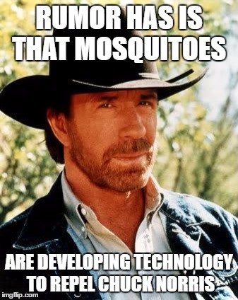 Chuck Norris Meme | RUMOR HAS IS THAT MOSQUITOES; ARE DEVELOPING TECHNOLOGY TO REPEL CHUCK NORRIS | image tagged in memes,chuck norris | made w/ Imgflip meme maker