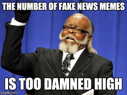 Too Damn High | THE NUMBER OF FAKE NEWS MEMES; IS TOO DAMNED HIGH | image tagged in memes,too damn high,fake news,too funny,getting old,tired of your shit | made w/ Imgflip meme maker