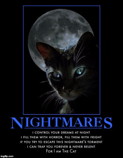 Nightmares | . | image tagged in for i am the cat,wmp,demotivationals | made w/ Imgflip meme maker