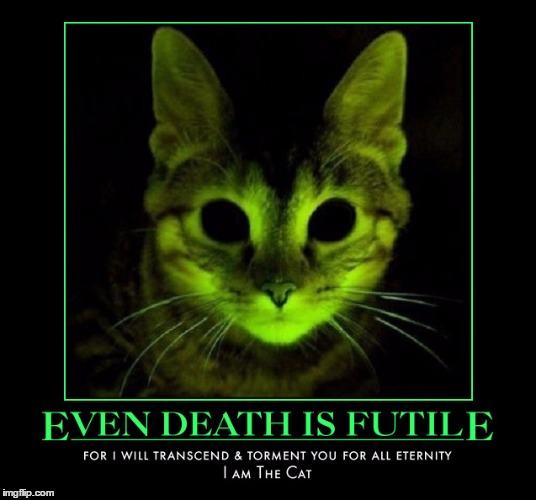 Even Death is Futile | . | image tagged in demotivationals,wmp,for i am the cat | made w/ Imgflip meme maker