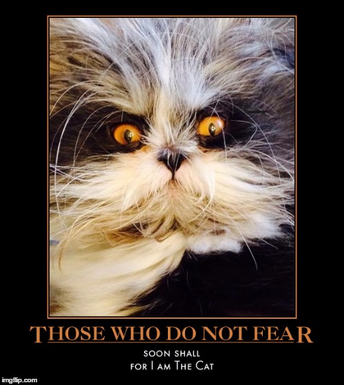 Those Who Don't Soon Shall | . | image tagged in demotivationals,for i am the cat,wmp,cats | made w/ Imgflip meme maker