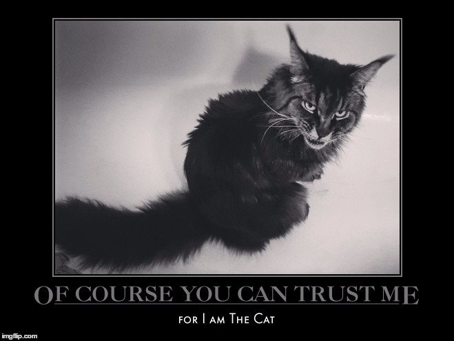 Trust Me | . | image tagged in for i am the cat,demotivationals,wmp | made w/ Imgflip meme maker