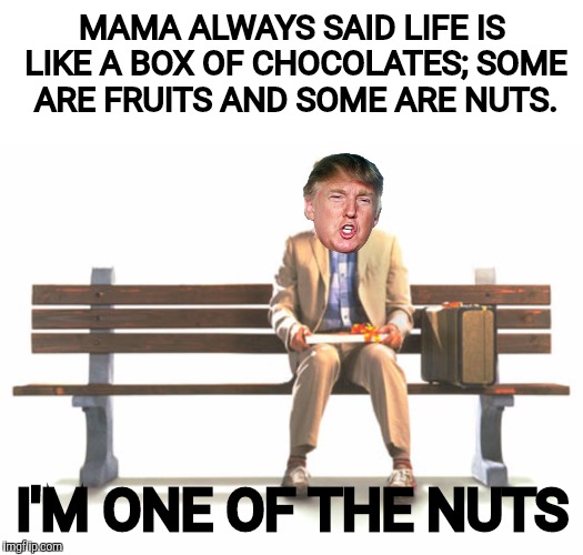Now playing: Forrest Trump | MAMA ALWAYS SAID LIFE IS LIKE A BOX OF CHOCOLATES; SOME ARE FRUITS AND SOME ARE NUTS. I'M ONE OF THE NUTS | image tagged in donald trump,forrest gump,nuts | made w/ Imgflip meme maker