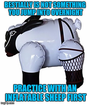 BESTIALLY IS NOT SOMETHING YOU JUMP INTO OVERNIGHT PRACTICE WITH AN INFLATABLE SHEEP FIRST | made w/ Imgflip meme maker