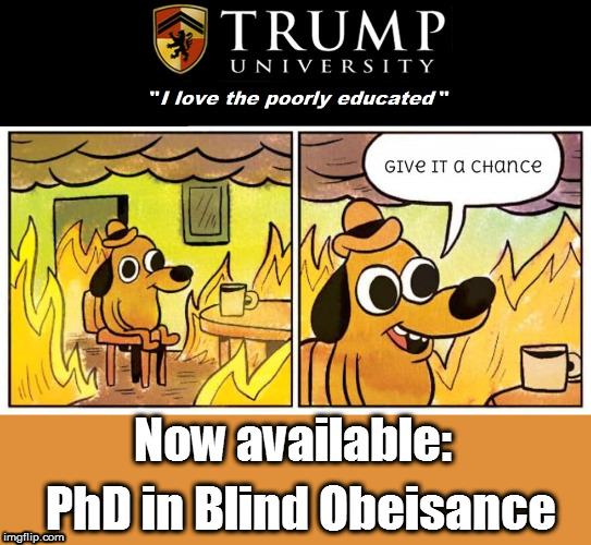 All we are saying, is give tRump a chance... | Now available:; PhD in Blind Obeisance | image tagged in give it a chance,trump,donald trump,obey trump,give trump a chance | made w/ Imgflip meme maker