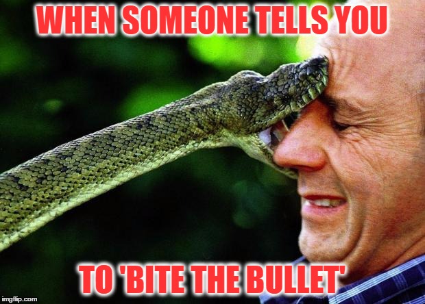 Bite Me | WHEN SOMEONE TELLS YOU; TO 'BITE THE BULLET' | image tagged in bite me | made w/ Imgflip meme maker