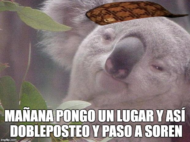 Dank Koala | MAÑANA PONGO UN LUGAR Y ASÍ DOBLEPOSTEO Y PASO A SOREN | image tagged in dank koala,scumbag | made w/ Imgflip meme maker