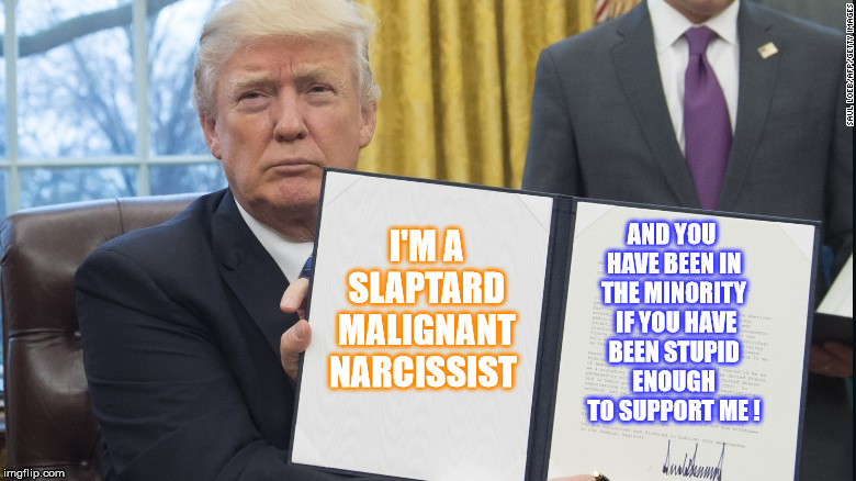 Fail to the Cheat  | AND YOU HAVE BEEN IN THE MINORITY  IF YOU HAVE BEEN STUPID ENOUGH TO SUPPORT ME ! I'M A SLAPTARD MALIGNANT NARCISSIST | image tagged in trump,trump executive orders | made w/ Imgflip meme maker