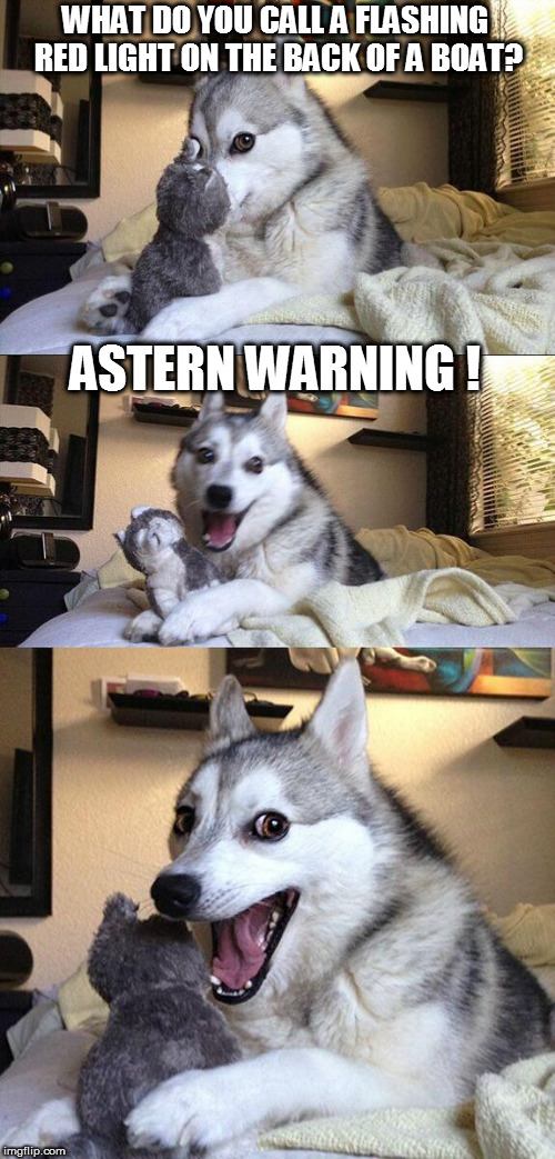 Bad pun pup, bad dog | WHAT DO YOU CALL A FLASHING RED LIGHT ON THE BACK OF A BOAT? ASTERN WARNING ! | image tagged in memes,bad pun dog,boats,bad puns | made w/ Imgflip meme maker