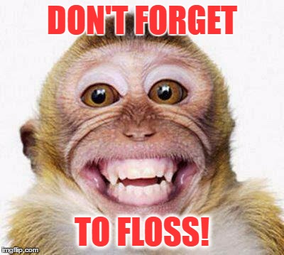 Monkey Smile | DON'T FORGET; TO FLOSS! | image tagged in monkey smile | made w/ Imgflip meme maker