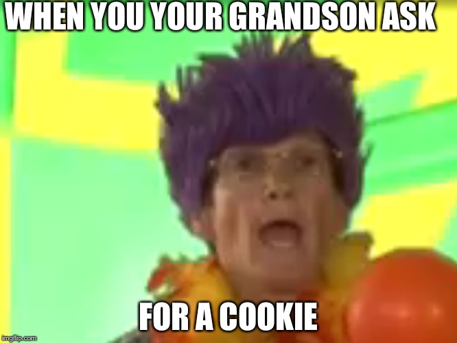 WHEN YOU YOUR GRANDSON ASK; FOR A COOKIE | image tagged in clueless grandma | made w/ Imgflip meme maker