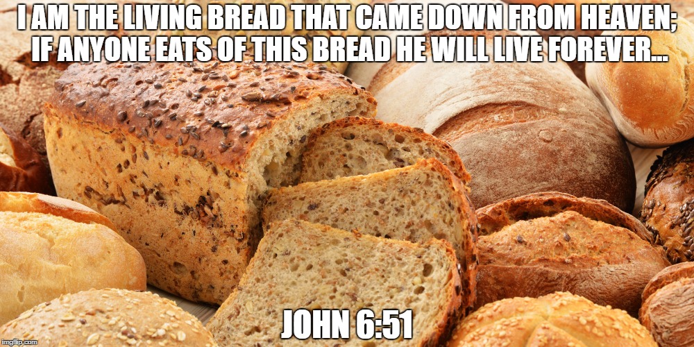 Bread of Life | I AM THE LIVING BREAD THAT CAME DOWN FROM HEAVEN; IF ANYONE EATS OF THIS BREAD HE WILL LIVE FOREVER... JOHN 6:51 | image tagged in bread,faith,holy bible,jesus,scripture | made w/ Imgflip meme maker