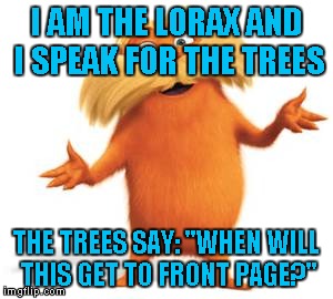 Lorax | I AM THE LORAX AND I SPEAK FOR THE TREES; THE TREES SAY: "WHEN WILL THIS GET TO FRONT PAGE?" | image tagged in lorax | made w/ Imgflip meme maker