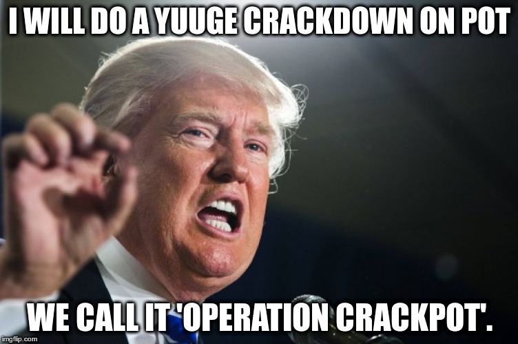 donald trump | I WILL DO A YUUGE CRACKDOWN ON POT; WE CALL IT 'OPERATION CRACKPOT'. | image tagged in donald trump | made w/ Imgflip meme maker