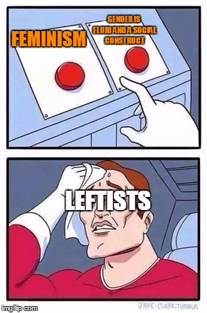 Two Buttons Meme | GENDER IS FLUID AND A SOCIAL CONSTRUCT; FEMINISM; LEFTISTS | image tagged in two buttons | made w/ Imgflip meme maker