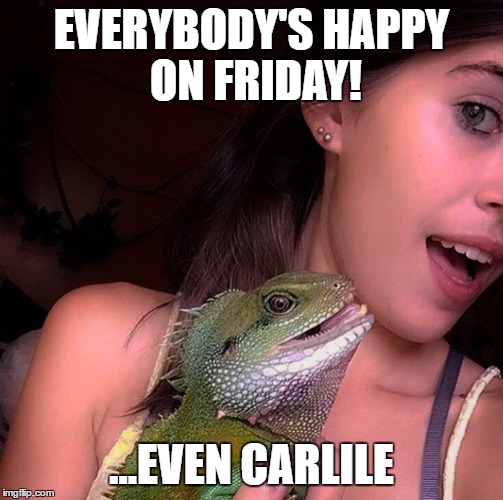 lizard; Friday; happy; smiling; reptile; weekend | EVERYBODY'S HAPPY ON FRIDAY! ...EVEN CARLILE | image tagged in lizard,friday | made w/ Imgflip meme maker