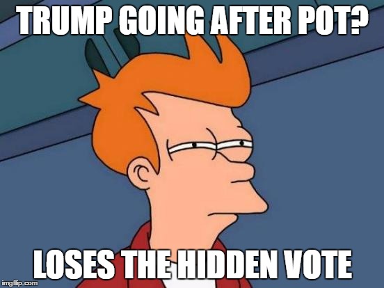 HUGE mistake | TRUMP GOING AFTER POT? LOSES THE HIDDEN VOTE | image tagged in memes,futurama fry | made w/ Imgflip meme maker