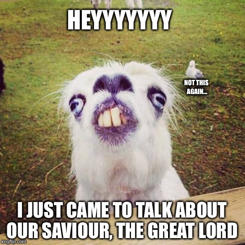 irony llama | HEYYYYYYY; NOT THIS AGAIN... I JUST CAME TO TALK ABOUT OUR SAVIOUR, THE GREAT LORD | image tagged in irony llama | made w/ Imgflip meme maker