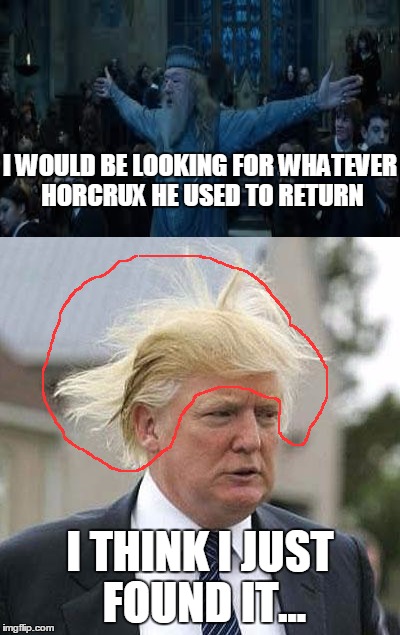 I WOULD BE LOOKING FOR WHATEVER HORCRUX HE USED TO RETURN I THINK I JUST FOUND IT... | made w/ Imgflip meme maker