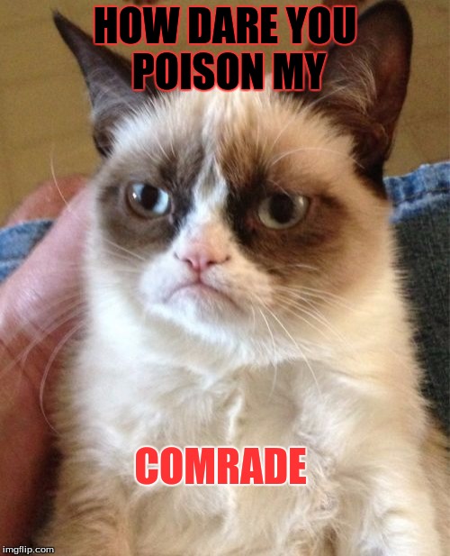 Grumpy Cat | HOW DARE YOU POISON MY; COMRADE | image tagged in memes,grumpy cat | made w/ Imgflip meme maker