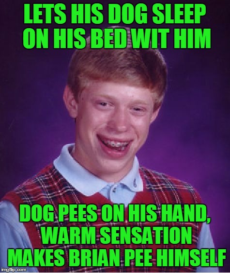 Bad Luck Brian Meme | LETS HIS DOG SLEEP ON HIS BED WIT HIM DOG PEES ON HIS HAND, WARM SENSATION MAKES BRIAN PEE HIMSELF | image tagged in memes,bad luck brian | made w/ Imgflip meme maker