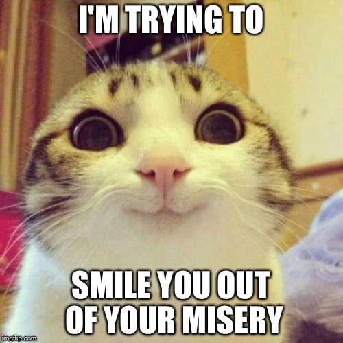 Smiling Cat | I'M TRYING TO; SMILE YOU OUT OF YOUR MISERY | image tagged in memes,smiling cat | made w/ Imgflip meme maker