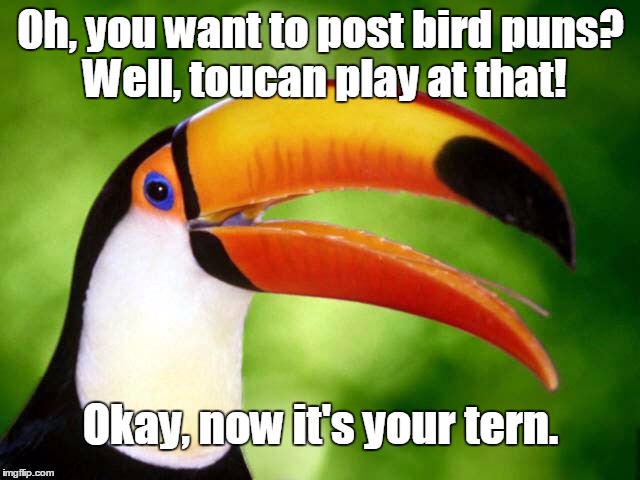 Bird pun challenge! Post your best puns/memes in the comments. | Oh, you want to post bird puns? Well, toucan play at that! Okay, now it's your tern. | image tagged in toucan,bird puns,pun challenge,challenge | made w/ Imgflip meme maker