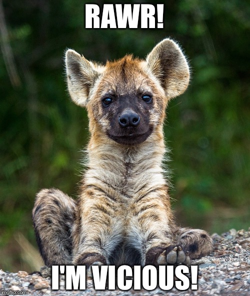 Rawr! | RAWR! I'M VICIOUS! | image tagged in rawr,bad pun hyena,hyena,cute animals,wildlife comedy,furries | made w/ Imgflip meme maker