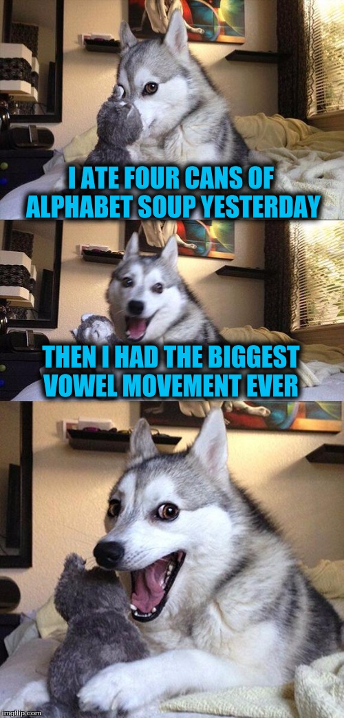 Bad Pun Dog Meme | I ATE FOUR CANS OF ALPHABET SOUP YESTERDAY THEN I HAD THE BIGGEST VOWEL MOVEMENT EVER | image tagged in memes,bad pun dog | made w/ Imgflip meme maker