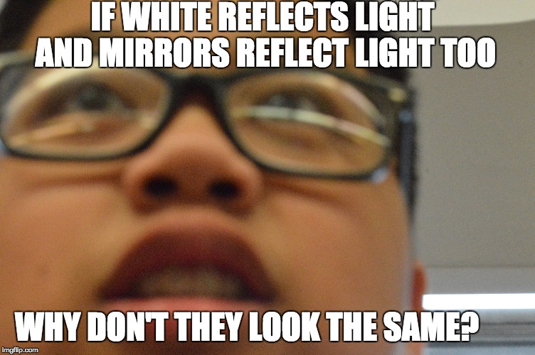 When someone dumb said something smart | IF WHITE REFLECTS LIGHT AND MIRRORS REFLECT LIGHT TOO; WHY DON'T THEY LOOK THE SAME? | image tagged in true story | made w/ Imgflip meme maker