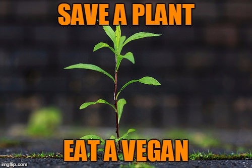 Note: eating a vegan will not meet your daily nutritional requirements and is no substitute for a healthy and balanced diet. | SAVE A PLANT; EAT A VEGAN | image tagged in memes,plant,vegan,veganism,what's up buddy,seems legit | made w/ Imgflip meme maker