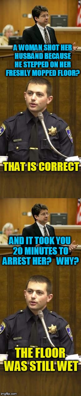Bad husband! | A WOMAN SHOT HER HUSBAND BECAUSE HE STEPPED ON HER FRESHLY MOPPED FLOOR? THAT IS CORRECT; AND IT TOOK YOU 20 MINUTES TO ARREST HER?   WHY? THE FLOOR WAS STILL WET | image tagged in lawyer and cop testifying | made w/ Imgflip meme maker