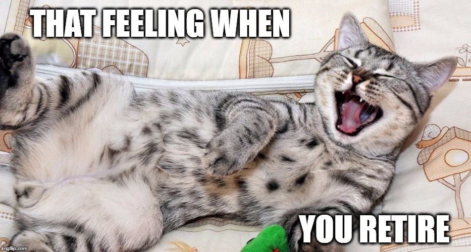 retirement cat | THAT FEELING WHEN; YOU RETIRE | image tagged in retirement cat | made w/ Imgflip meme maker