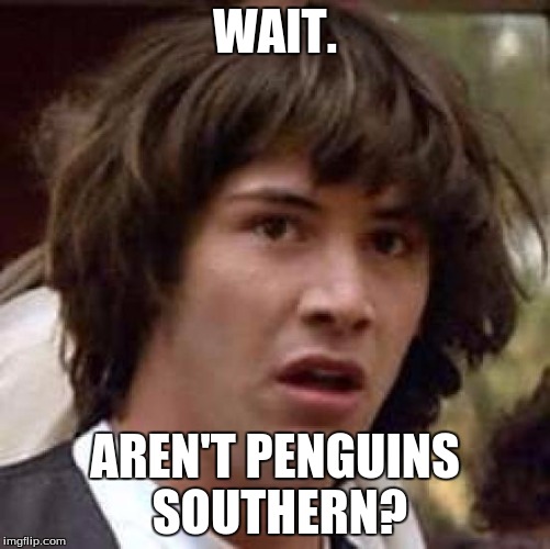 Conspiracy Keanu Meme | WAIT. AREN'T PENGUINS SOUTHERN? | image tagged in memes,conspiracy keanu | made w/ Imgflip meme maker