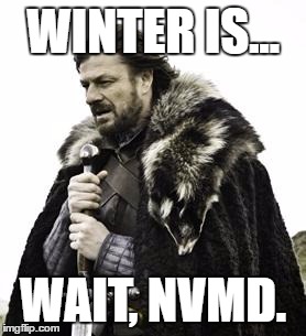 ned stark | WINTER IS... WAIT, NVMD. | image tagged in ned stark | made w/ Imgflip meme maker