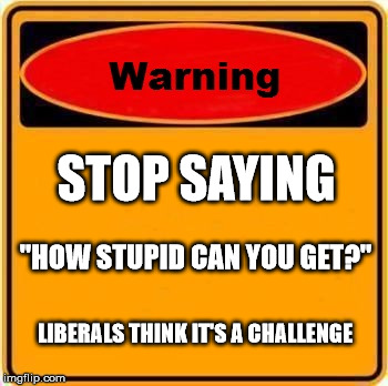 Warning Sign Meme | STOP SAYING; "HOW STUPID CAN YOU GET?"; LIBERALS THINK IT'S A CHALLENGE | image tagged in memes,warning sign | made w/ Imgflip meme maker