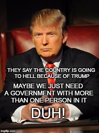 President Trump to you | THEY SAY THE COUNTRY IS GOING TO HELL BECAUSE OF TRUMP; MAYBE WE JUST NEED A GOVERNMENT WITH MORE THAN ONE PERSON IN IT; DUH! | image tagged in serious trump,duh | made w/ Imgflip meme maker