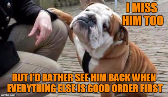 There There Dog | I MISS HIM TOO BUT I'D RATHER SEE HIM BACK WHEN EVERYTHING ELSE IS GOOD ORDER FIRST | image tagged in there there dog | made w/ Imgflip meme maker