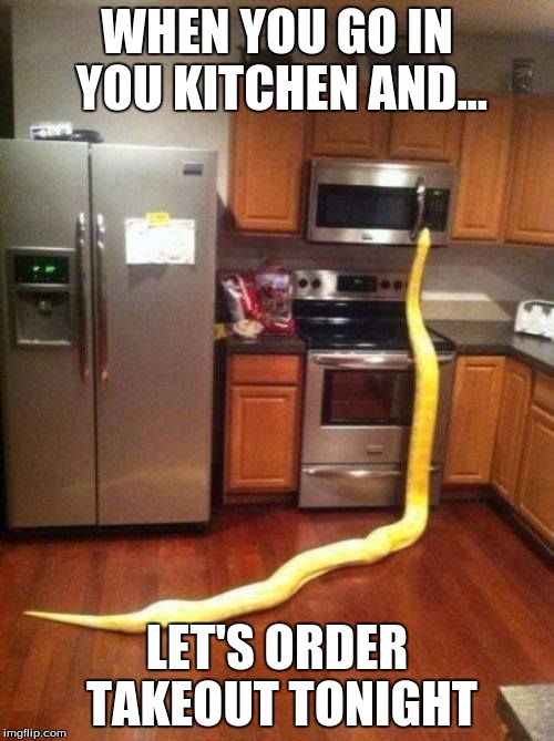 Mr Wiggles | WHEN YOU GO IN YOU KITCHEN AND... LET'S ORDER TAKEOUT TONIGHT | image tagged in mr wiggles | made w/ Imgflip meme maker